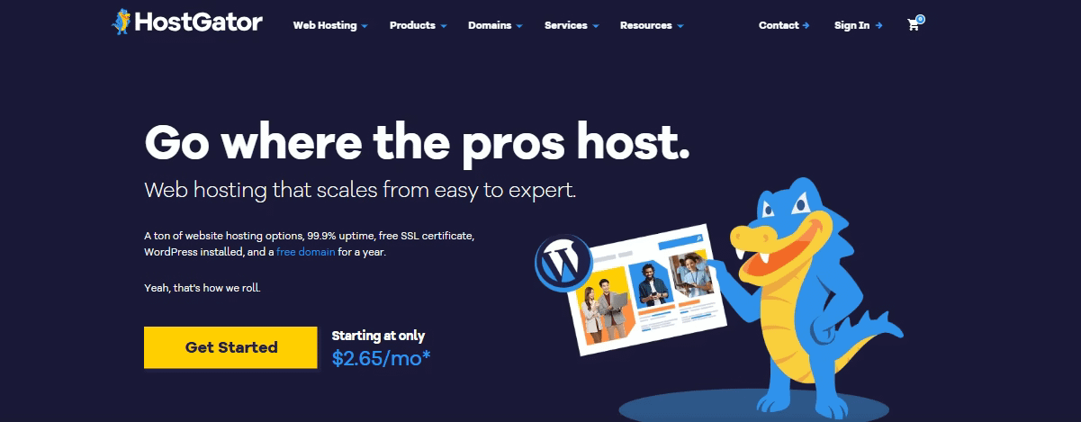 10 Best Reseller Web Hosting India [year]